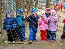 В очереди на детский сад в Набережных Челнах стоит 18186 детей