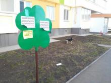 Бездомные собаки осваивают территорию поселка Замелекесье. Это пугает местного жителя 