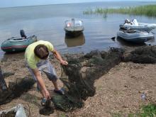 Более 1000 раков вытащили из браконьерских раколовок