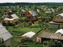 У челнинцев растет спрос на аренду дач