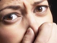 Источником неприятного запаха в Челнах могут быть несколько животноводческих предприятий