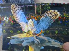 Челнинцу вернули украденную сову, которую он установил в мини-парке у подъезда