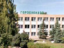 В «Горзеленхозе» появится торгово-выставочный павильон за 1.5 миллиона