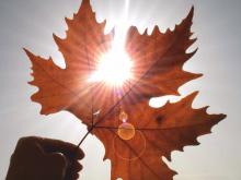 'Народный прогноз погоды': Осень проживем без отопления