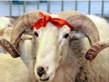 Курбан-байрам: В сентябре жители Татарстана отдохнут три дня подряд