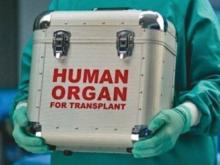 «В Набережных Челнах органы умерших никто не изымает»