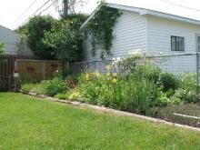 В садовом обществе в Татарстане никто из садоводов не смог оформить собственность на землю