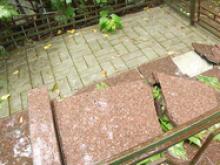 Президент Татарстана объявил награду в 5 млн рублей за информацию о вандалах на кладбище в Казани