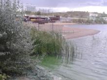 'Берега Камы окрасили в сине-зеленый цвет отмирающие водоросли'