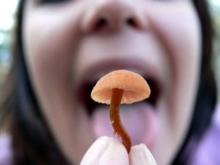 С начала года в Татарстане грибами отравились 17 человек, из них 4 - дети