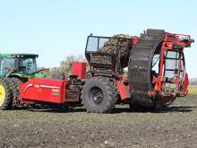 В Татарстане приступили к уборке урожая сахарной свеклы по американской технологии