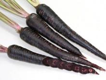 Садоводы Набережных Челнов на выставке в Музее экологии покажут уникальные растения