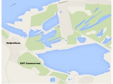 'Озеро' Лебяжье: 'Там не рыба, а монстры!'