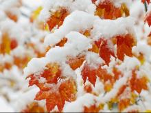 Первый снег в Набережных Челнах прогноз обещает во вторник и среду