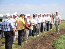 Фермеры в Тукаевском районе: Конфликты из-за мест на рынках и продажи молока стали уже историей 