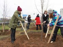 Радиоведущие и менеджеры вышли сегодня на улицу сажать деревья