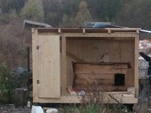 Больной Барбоскин переехал в новый вольер - ему помогли читатели 'Челны ЛТД'