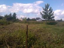 Со скотомогильником рядом с садовыми обществами окончательно разберутся к весне 2017 года