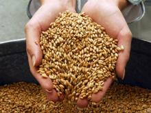 'Набережночелнинский комбинат хлебопродуктов' не доплатил 2,2 млн рублей за поставленное зерно