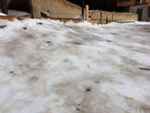 Родник у Дома лесника обледенел - в Нацпарке пообещали редакции 'Челны ЛТД' решить проблему