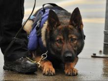 Возле магазина «Янтарь» в  комплексе очевидцы обнаружили предмет, похожий на гранату