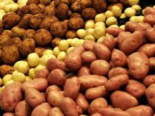 «Челны-хлеб» и фермеры заключили договоры о поставках, зафиксировав на 2017 год закупочные цены