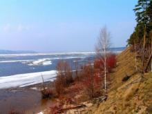 Деревообработчики из Елабуги выделили 2 миллиона рублей на парки в Татарстане и на Смоленщине 