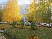 ТОС 14-го комплекса оспаривает в суде выделение участка предпринимателю Равилю Мавлину