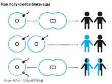 «Близнецов труднее вынашивать»: В Набережных Челнах растет число многоплодных беременностей