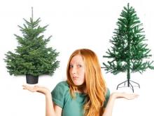 Новогодняя елка: «Искусственная или живая?»