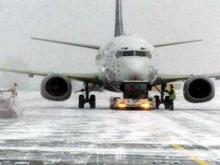 Аэропорт 'Бегишево' опроверг выход на взлетную полосу лося, из-за которого не смог сесть самолет