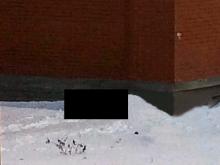 В 47 комплексе прохожие обнаружили труп молодого человека. Возможно, он прыгнул с 15-го этажа