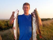 Челнинца Алексея Кормильцева, уехавшего на заработки в Краснодар, не могут найти уже полгода