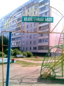 Какой-какой мир?!