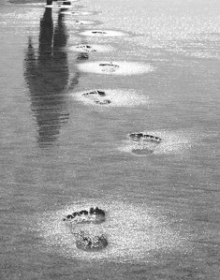 Полиция ищет пропавших людей