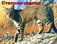 Календарь. 8 августа