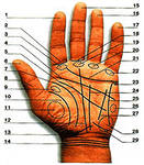 Неделя хиромантии: день первый