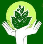 Правила жизни