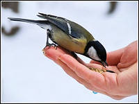 'Планку' МРОТ повысили на 594 рубля