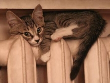 В декабре, как в ноябре — из-за перерасчета -