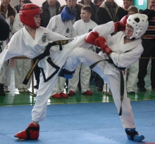 В Набережных Челнах прошел 14-й открытый чемпионат и первенство республики Татарстан по тхэквондо