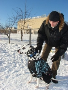Место встречи и страна советов