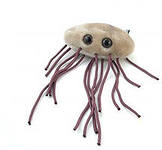 Санитарные службы нашли в воде много железа