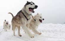 Новое увлечение актера из Набережных Челнов