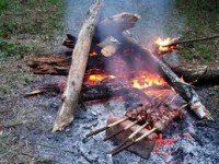 В парк на шашлыки в Набережных Челнах - нельзя