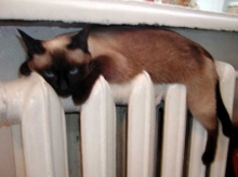 Платежи за услуги ЖКХ в Набережных Челнах снижаются