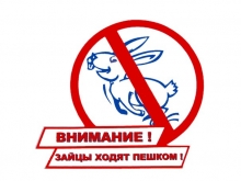 Штраф за безбилетный проезд в Набережных Челнах предлагают увеличить до 500 рублей