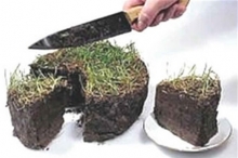 Земельные участки многодетным семьям Набережных Челнов