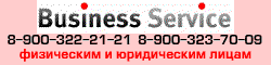 biz-servis_1