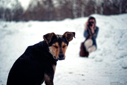 Фото Марата Закирова. 